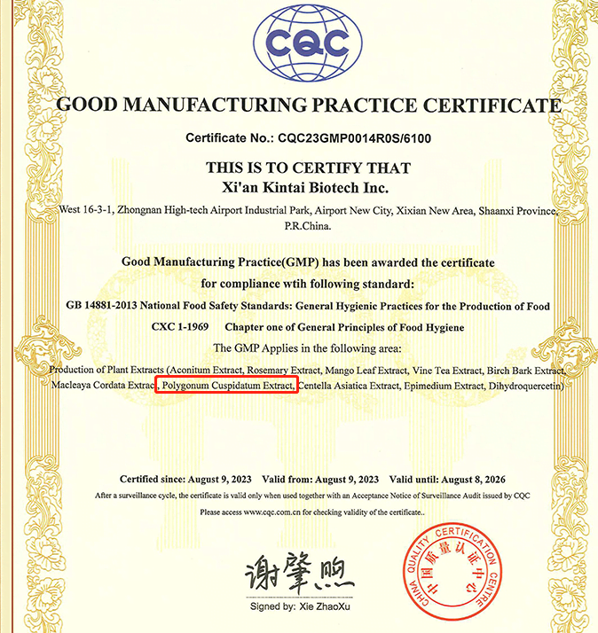 cGMP-factory-polygonum-cuspidatum-extract-resveratrol-e1720601179525
