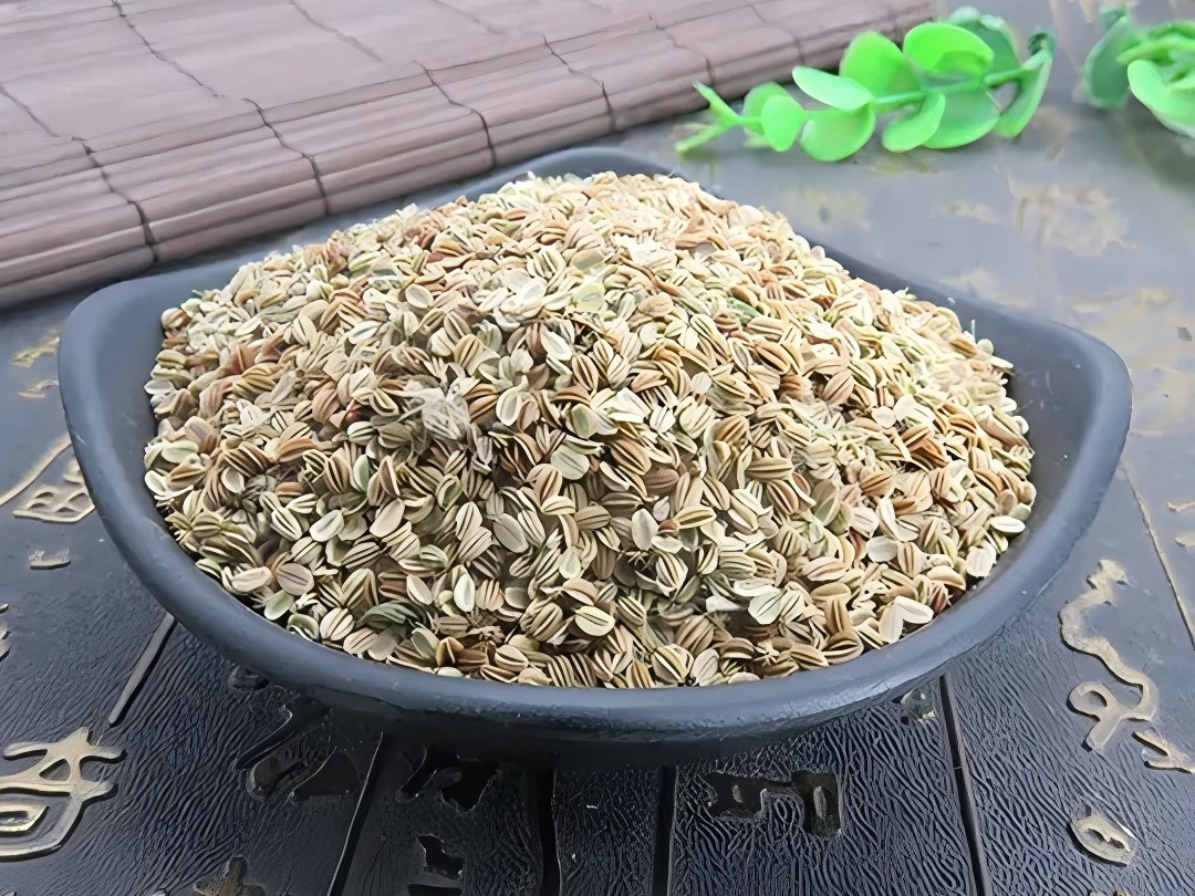 Cnidium-monnieri-seed-fruit
