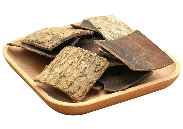 eucommia-bark-in-plate