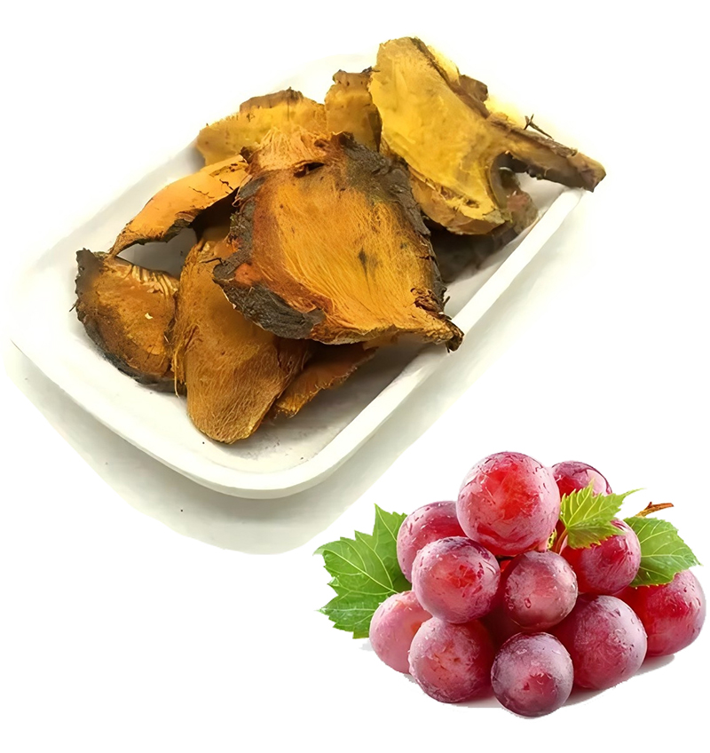 grape-and-polygonum-cuspidatum-raw-material-of-Resveratrol
