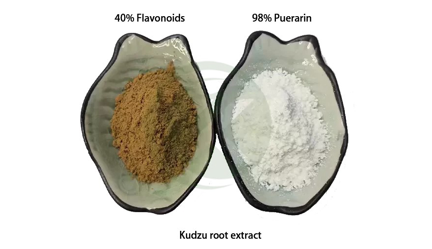 Pueraria-Mirifica-Kudzu-root-extract-bulk-Puerarin-flavonoids-powder-e1725348568520