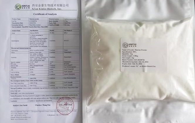 sophora-flavescens-root-extract-98-Matrine-powder-e1723106273737