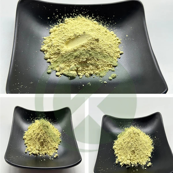 Sophora-Japonica-Extract-95-bulk-Rutin-Powder