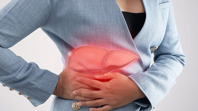 Can Polydatin Really Reduce Inflammation and Support Liver Health