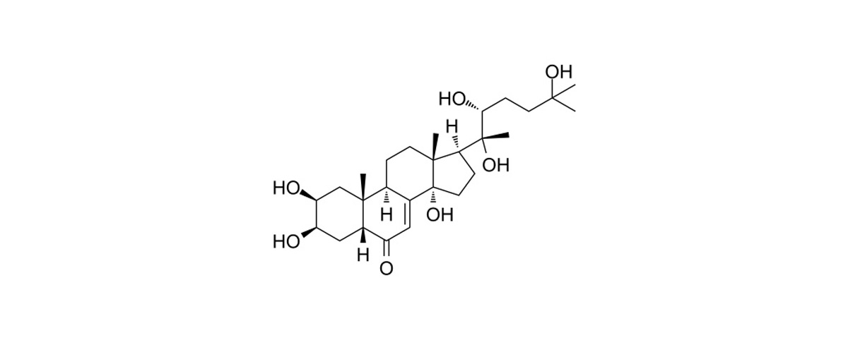 beta ecdysterone strcture