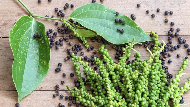 black pepper.jpg