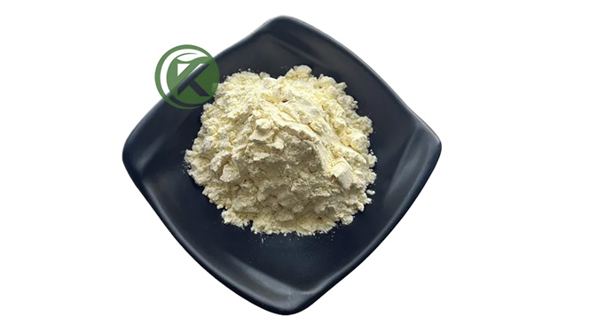 Black Pepper Extract Piperine Powder.jpg