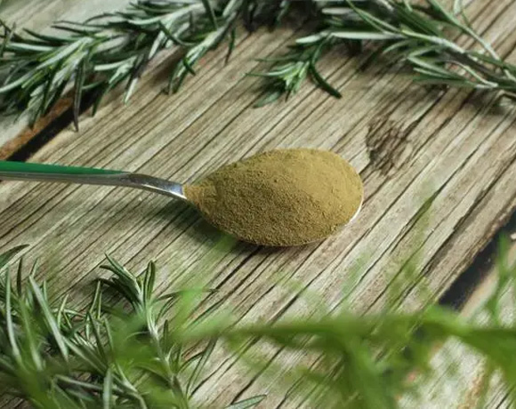 carnosic acid powder.jpg