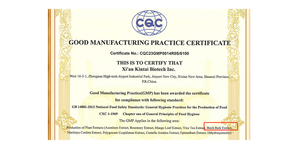 cGMP approved manufacturer birch bark extract
