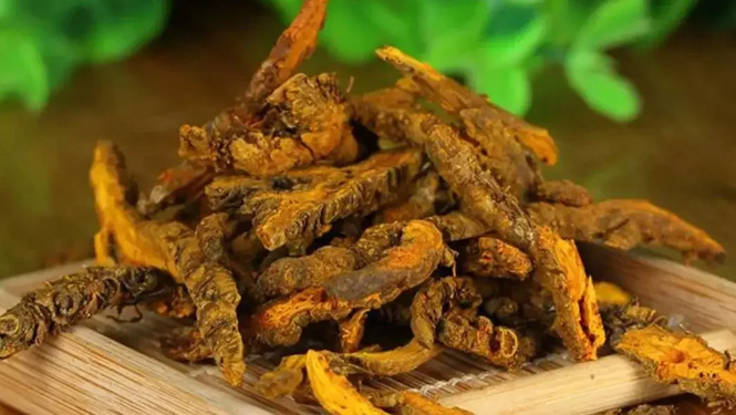 Berberine Hydrochloride vs Berberine: What’s the difference?