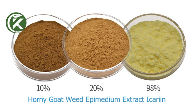 Epimedium leaf extract Icariin powder.jpg