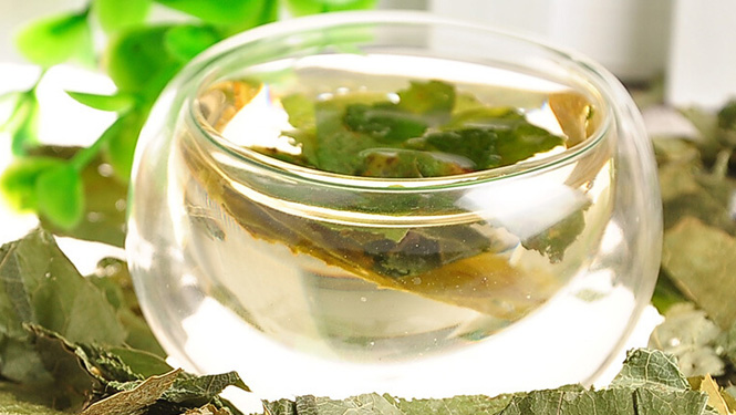 Epimedium leaves can be brewed into tea.jpg