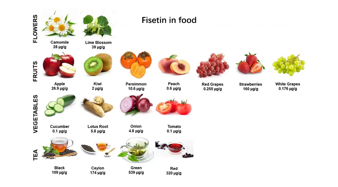 Fisetin in foods