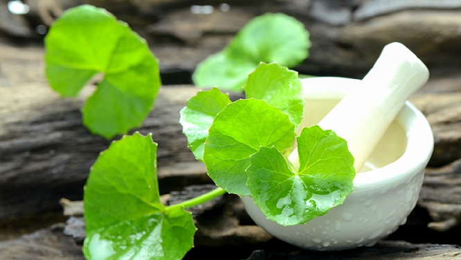Is Asiaticoside Good For Skin