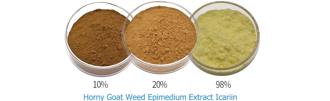 Horny Goat Weed Epimedium leaf extract Icariin powder