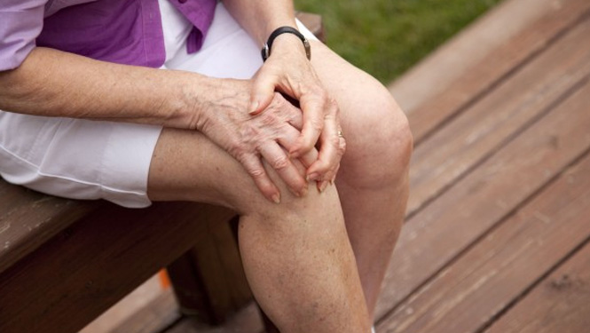 Icariin treat rheumatism and related disorders.jpg