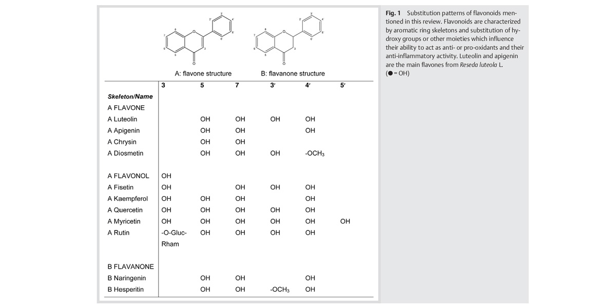 Luteolin can reduce allergic symptoms