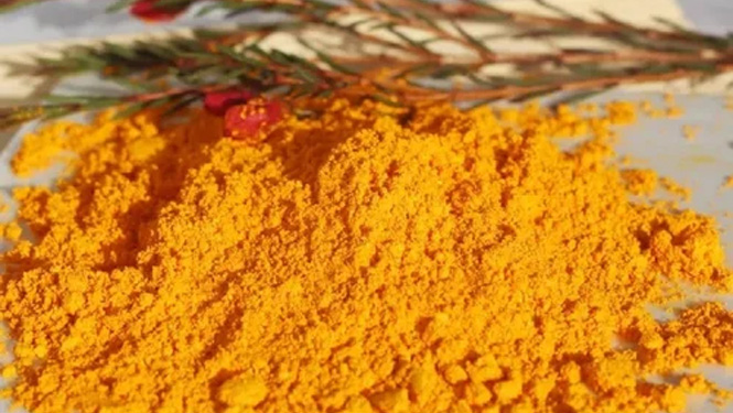 Macleaya Cordata Extract.jpg