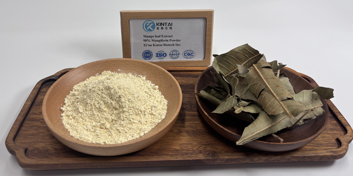 mangiferin powder.jpg