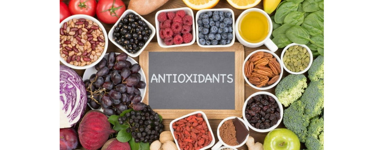 Maslinic Acid exhibits strong antioxidant effects