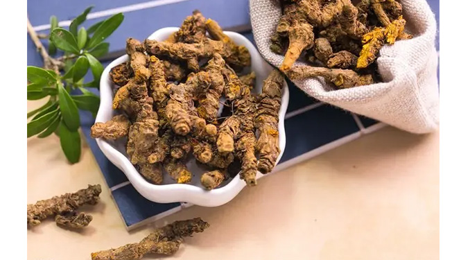 Natural Berberine source - Coptis Chinensis