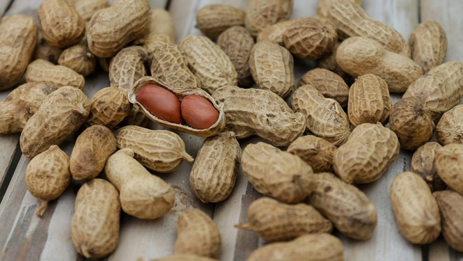 peanut shells.jpg