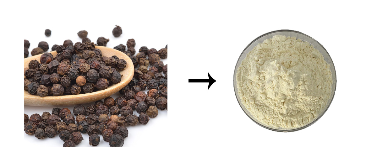 pure Black Pepper Extract Piperine Powder