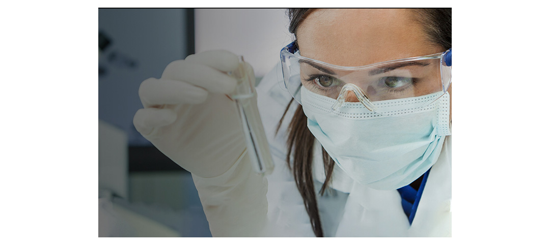 Quercetin can be Used for developing anti-inflammatory, antioxidant, and anticancer drugs