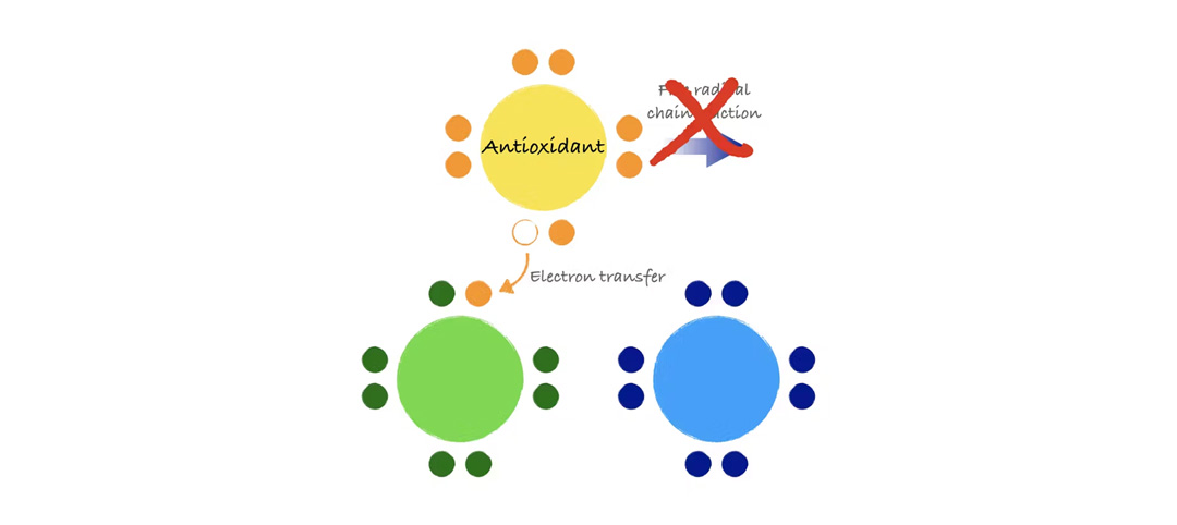 Quercetin reduces oxidative stress