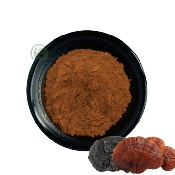 Natural Pure Reishi Mushroom/ganoderma lucidum Extract Powder