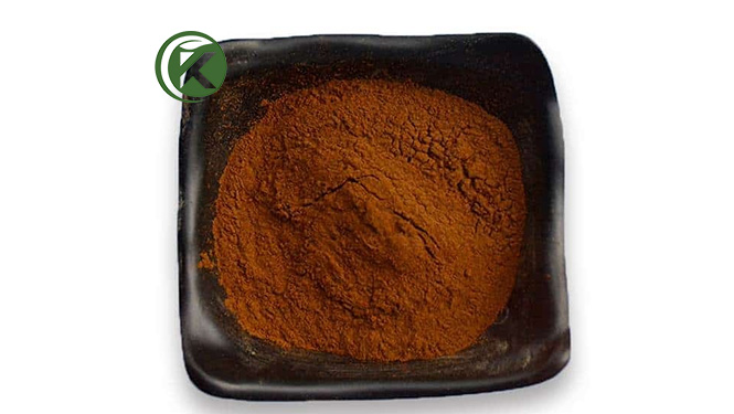 Reishi mushroom extract powder.jpg