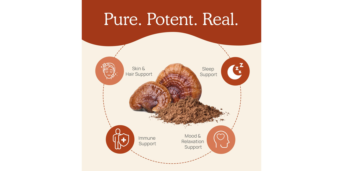 Reishi mushroom’s benefits