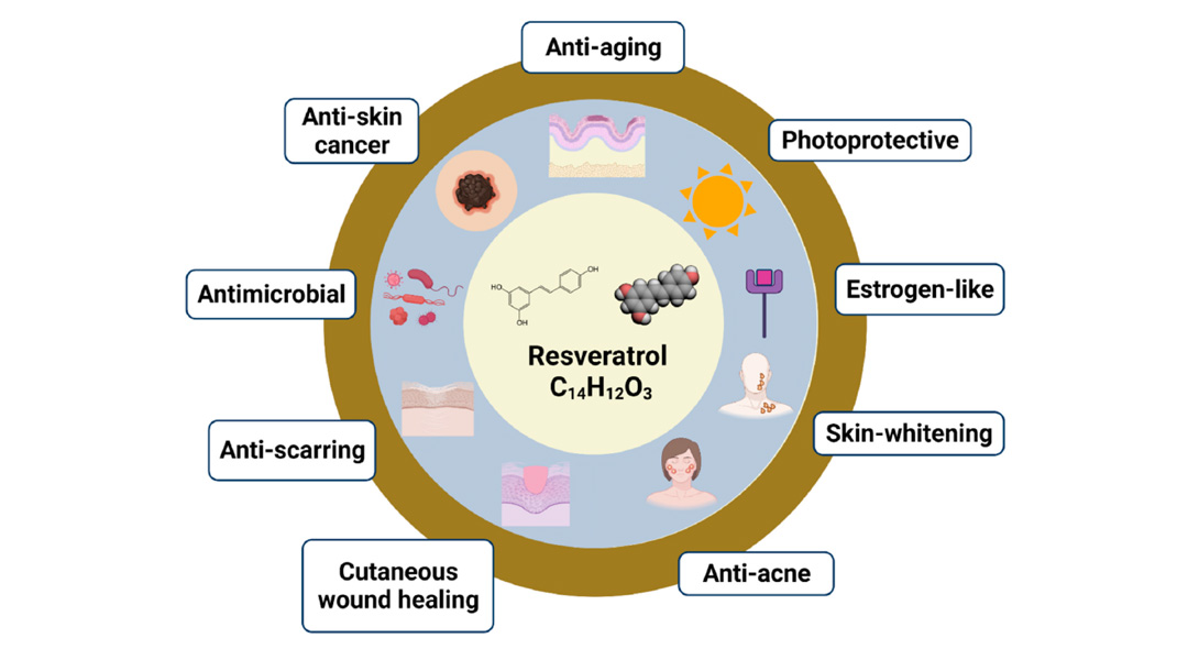 Resveratrol benefits