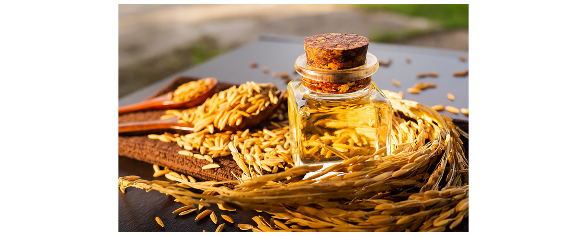 Rice Bran Extract 98% Gamma Oryzanol