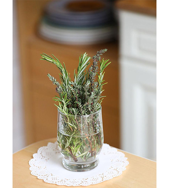 Rosemary leaf