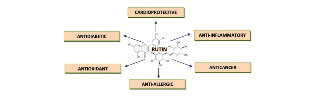 rutin benefits