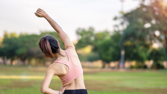 What are the benefits of fisetin for the body