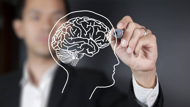 The benefits of fisetin on the brain.jpg