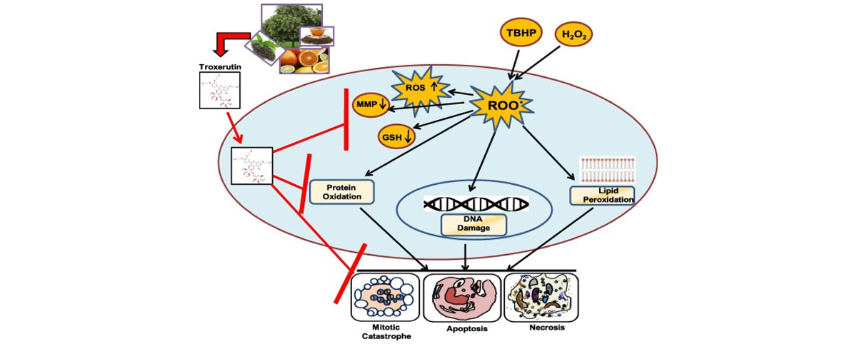 Troxerutin powder is a natural bioflavonoid compound with strong antioxidant effect