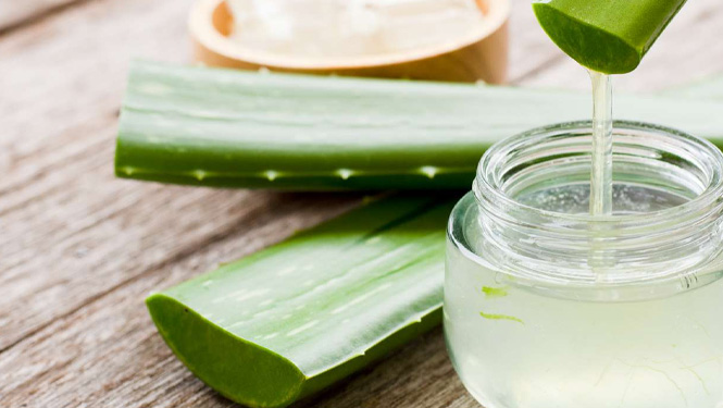 Aloins is a chemical component extracted from the endothelium of aloe vera leaves.jpg