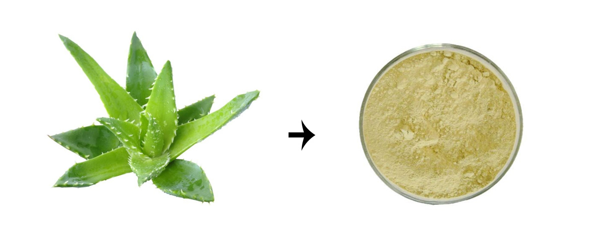 Aloins powder