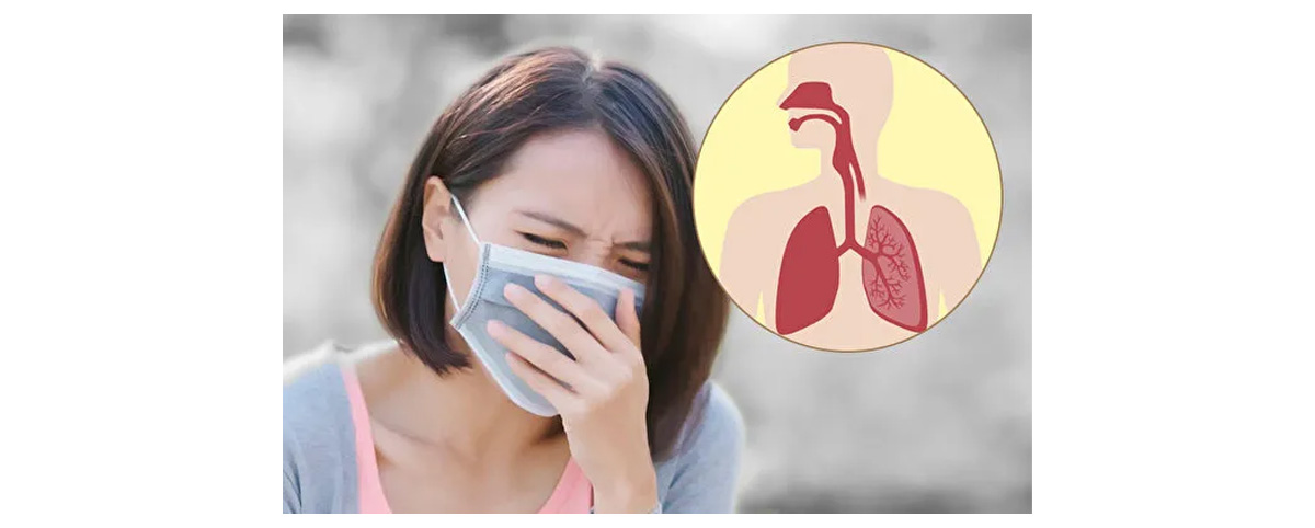 Amygdalin enhances immune system function, helping the body fight infections and diseases