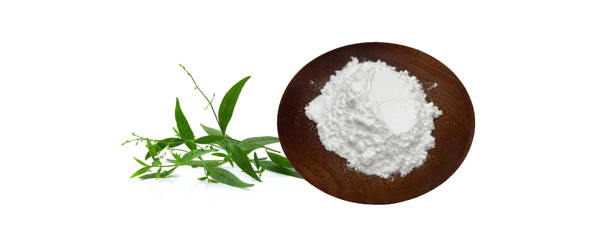 Andrographolide powder