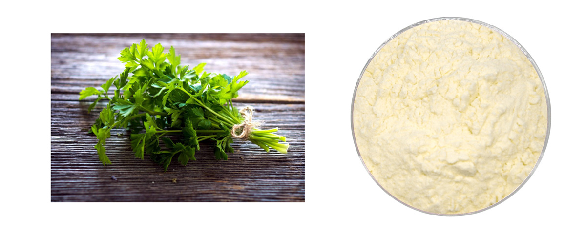 Apigenin Powder