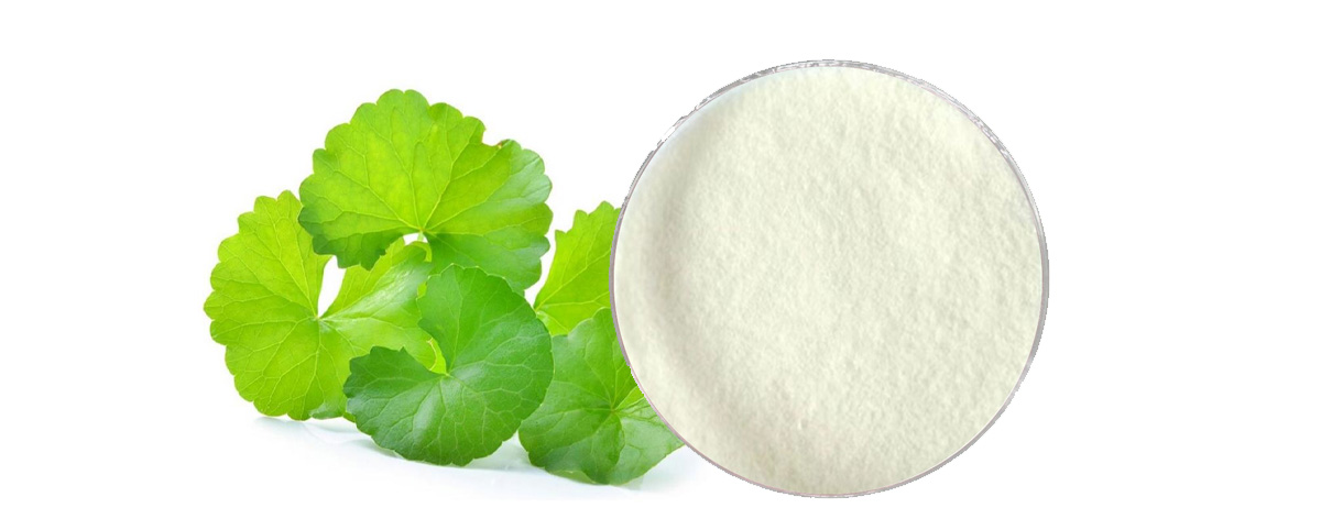 Asiaticoside powder
