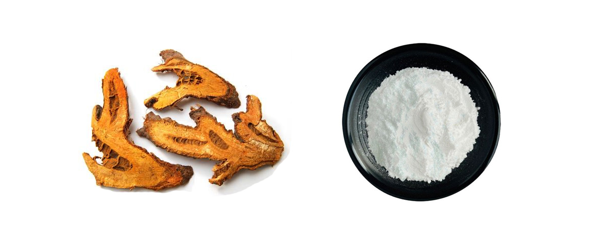 Bulk and pure Polydatin powder