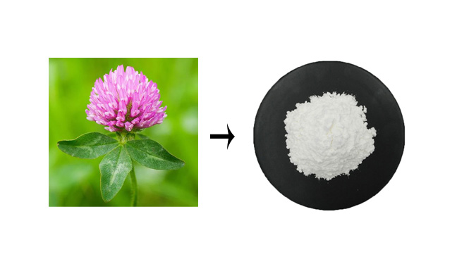 bulk Biochanin A powder.jpg