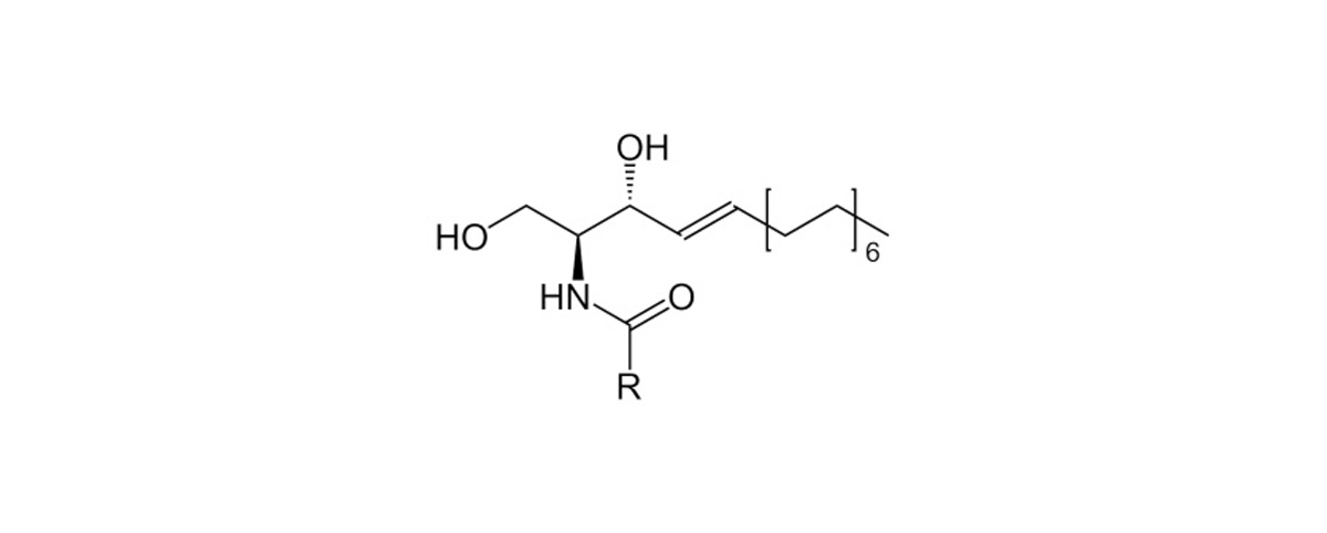 ceramide structure