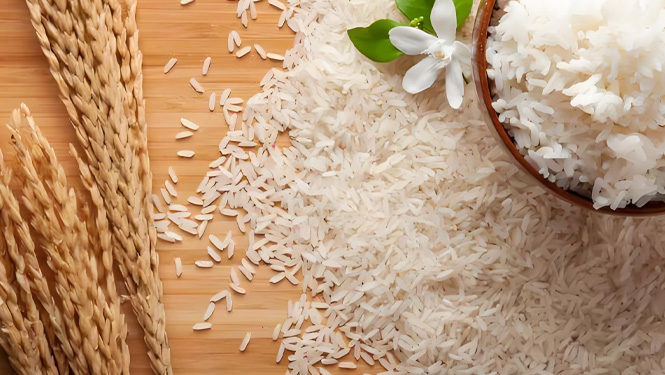 ceramides are mainly extracted from rice bran.jpg