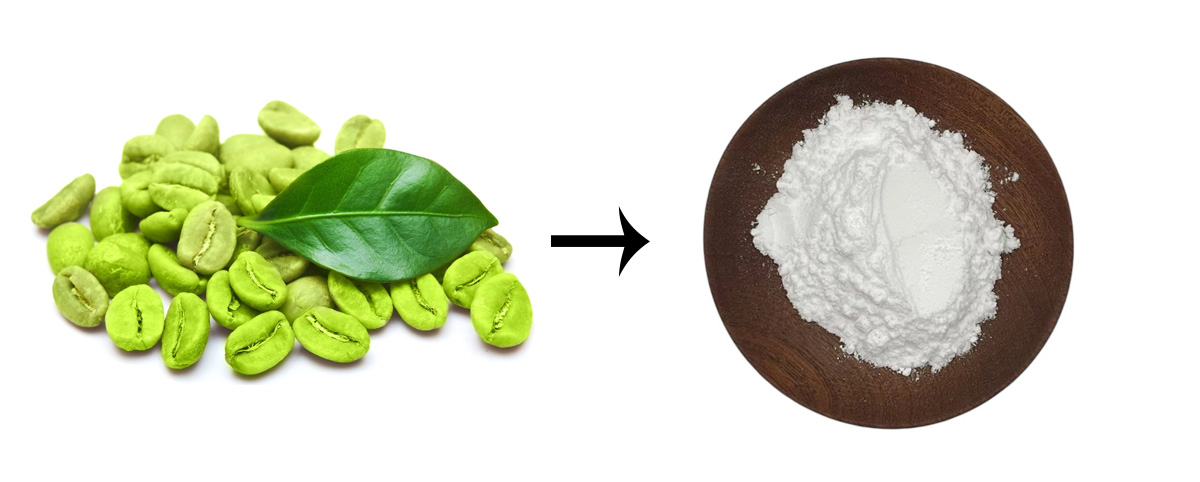 Chlorogenic Acid powder